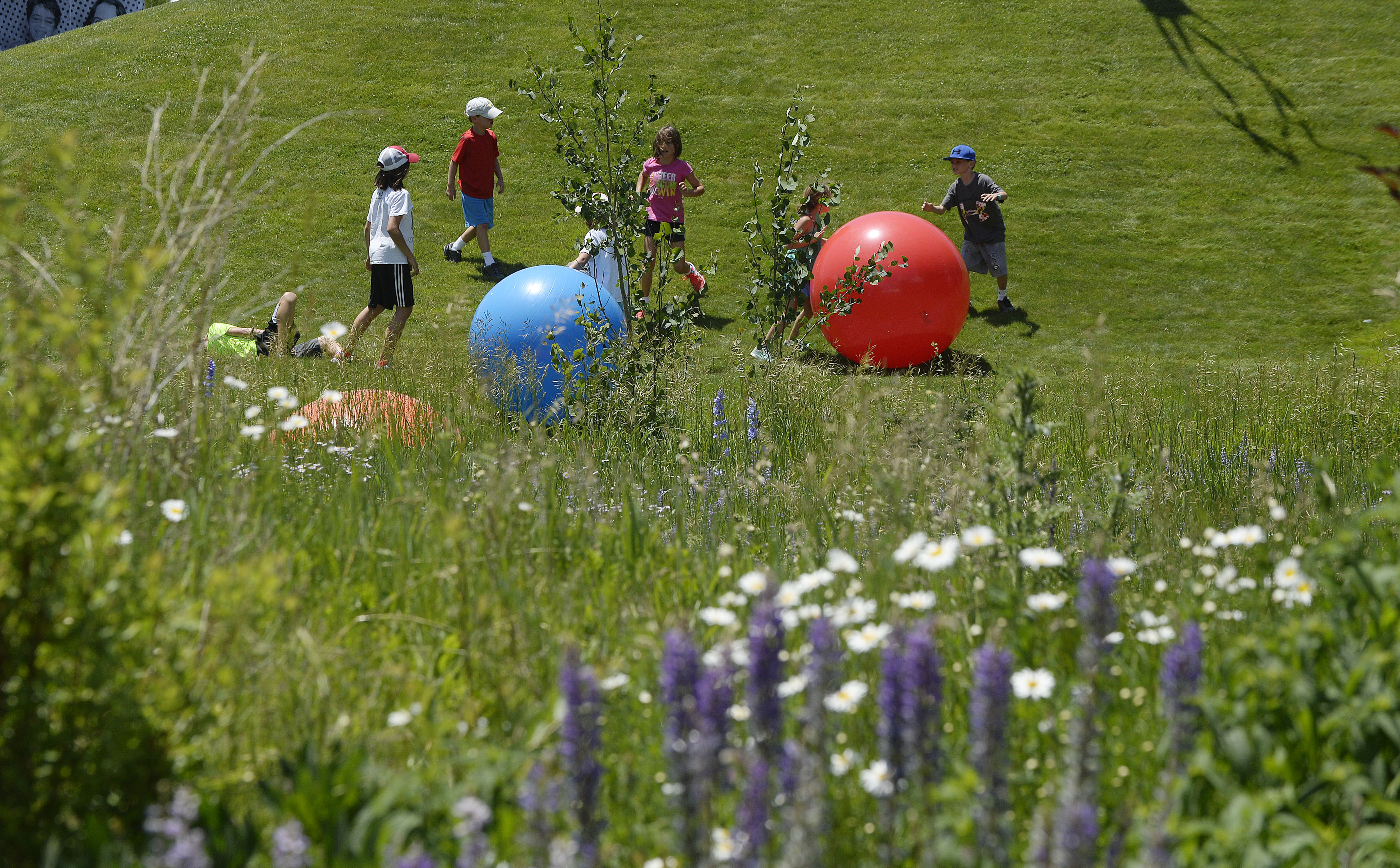Growing Up: The Science Behind Childhood